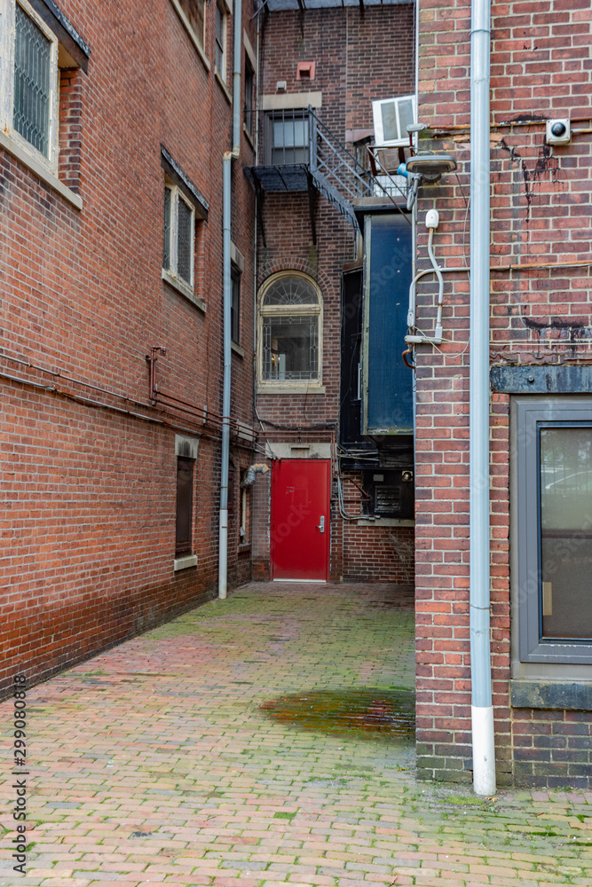 Rear entrance to old brick apartment buildings with red door, fire escape, vertical aspect