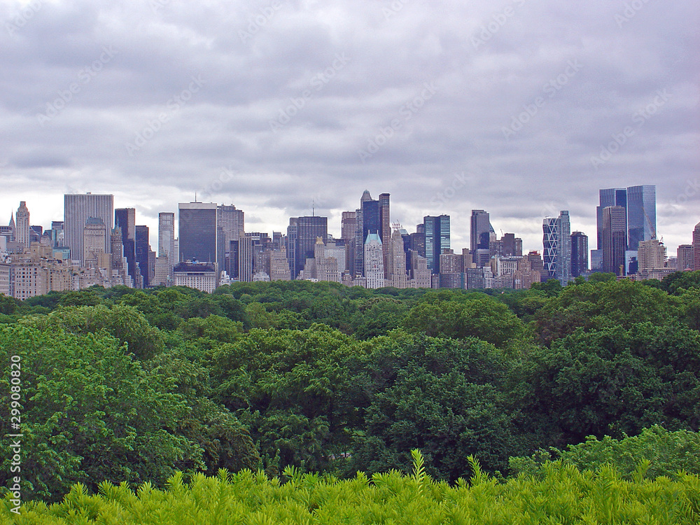 Fototapeta premium Central Park