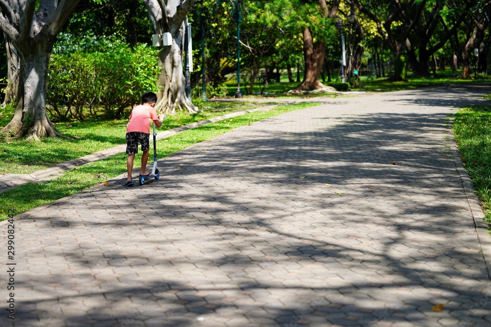 Fototapeta premium young woman riding a bicycle in the park