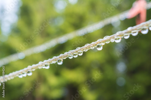 plastic clothesline with clothespin and dew drops on closeup.