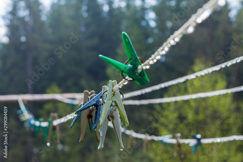 Bild auf Leinwand plastic clothesline with clothespin and dew drops on closeup.