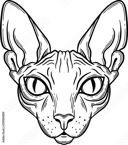 cat sphinx head vector hand drawn illustration tattoo sketch style isolated on white