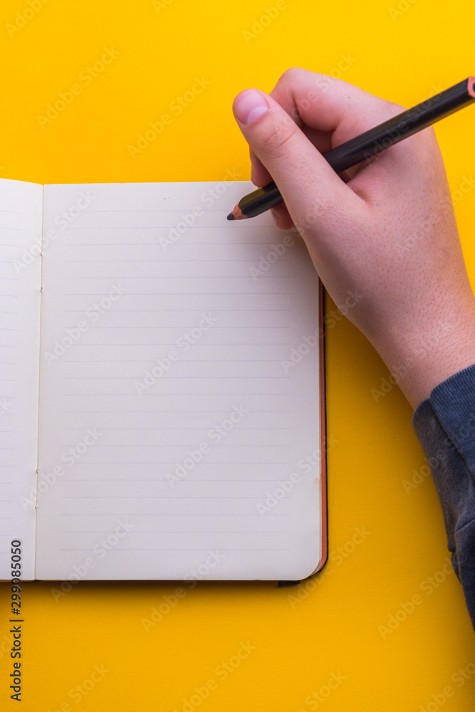 Woman's hands with a blank agenda ready to write. Woman's hands with a blank agenda ready to write.