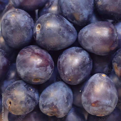 Freshly picked ripe whole plums close-up. Stacked purple sweet fruits.