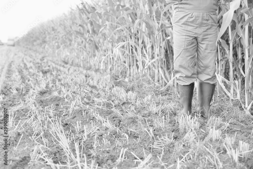 Black and white photo of Senior farmer standing in corn field