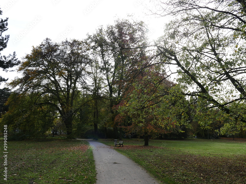Baume im Park