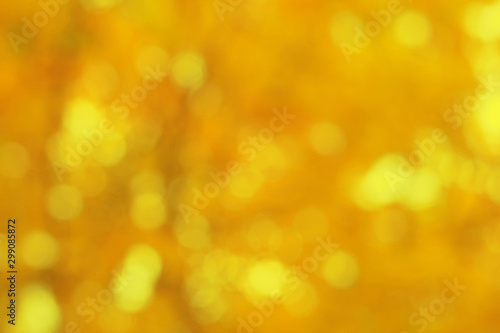 Blurred backdrop of fall colors . Real 50 mm lens bokeh pattern with yellow and orange circles. Wide aperture photo of autumn trees.