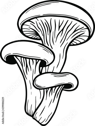 poison mushroom vector hand drawn illustration tattoo sketch style isolated on white