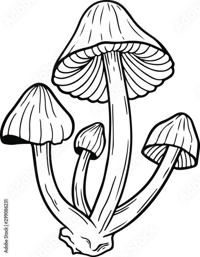 poison mushroom vector hand drawn illustration tattoo sketch style isolated on white
