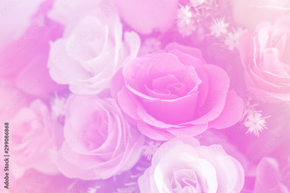 Rose flowers for background Rose flowers for background