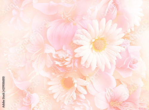 flowers background
