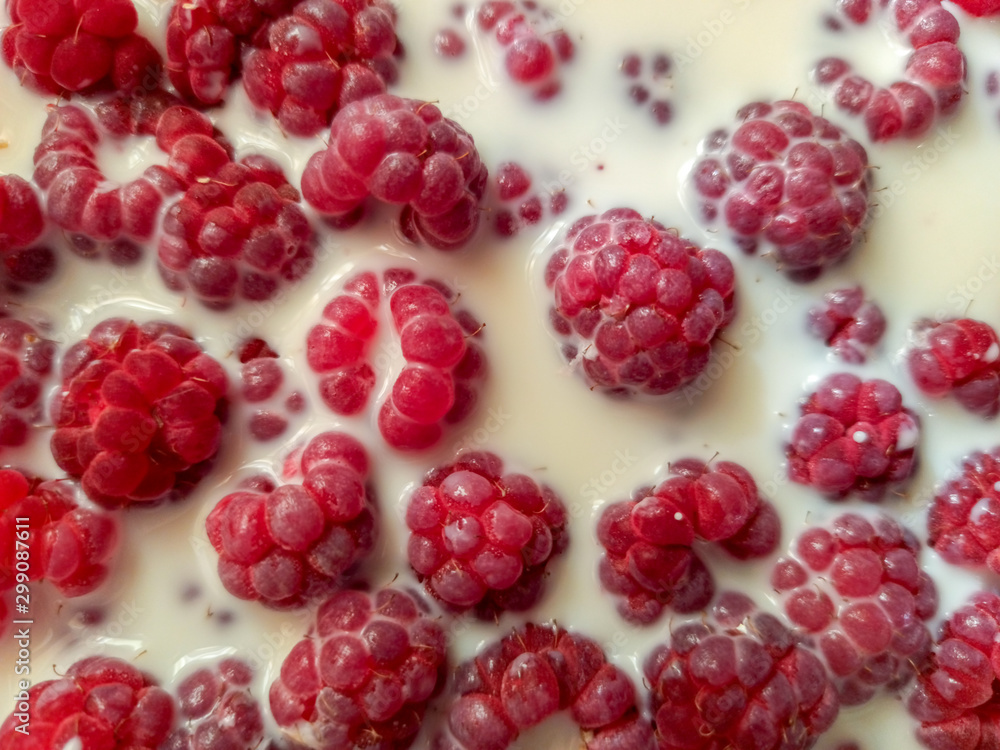 raspberries in milk. light dessert. food background raspberries in milk. light dessert. food background