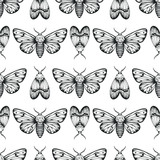 seamless pattern of moth, sketch style butterfly illustration, vector illustration isolated on white, tattoo design