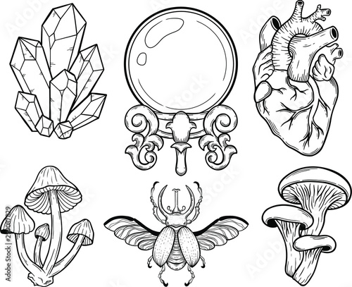 crystal, mushroom, bug, heart, crystal ball, vector hand drawn illustration tattoo sketch style isolated on white