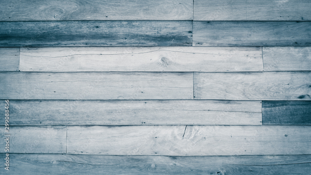 Obraz premium Background and texture, Old vintage wood plank wall panel