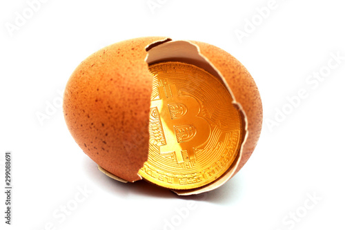 bitcoin hatched from an egg, bitcoin lies in the eggshell, white background