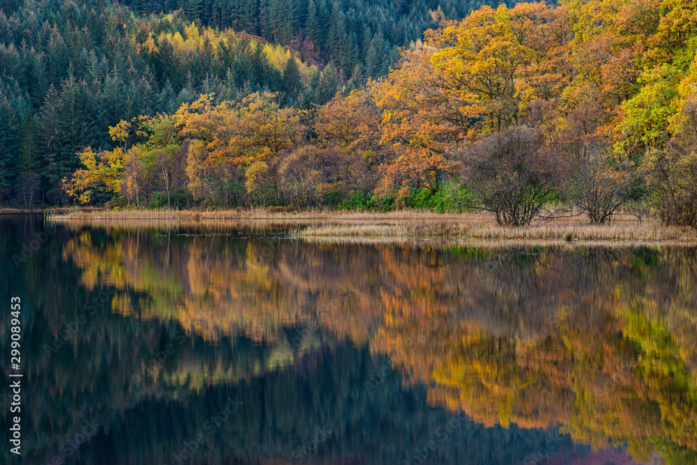 Colorful autumn trees and reflections.