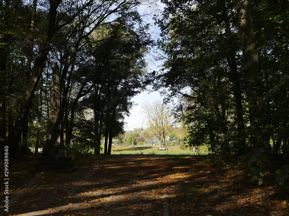 Fototapeta premium Waldweg im Herbst