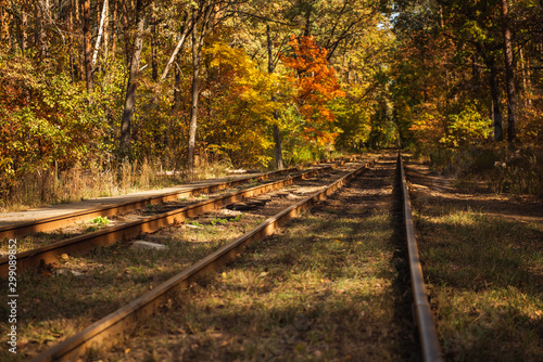 railway in autumnal forest with golden foliage in sunlight