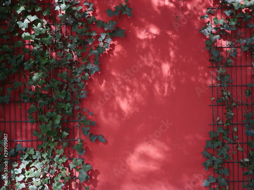 Rote Wand mit Laub