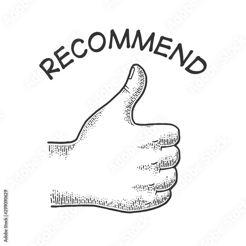 Thumb up recommend hand gesture sketch engraving vector illustration. Recommend. Scratch board imitation. Black and white hand drawn image.