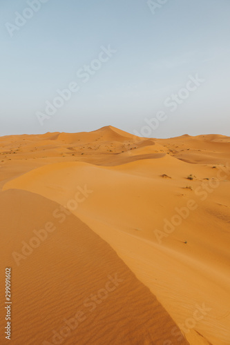 Beautiful landscape of orange desert in Africa  with sand dunes and horizon.