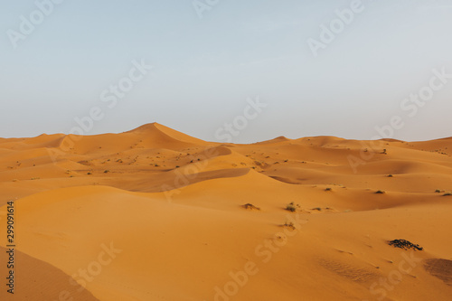 Beautiful landscape of orange desert in Africa, with sand dunes and horizon.