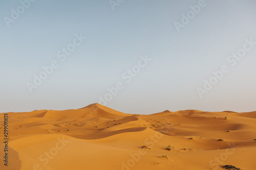 Beautiful landscape of orange desert in Africa  with sand dunes and horizon.
