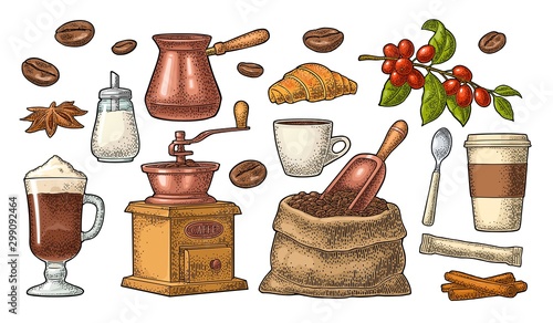 Set coffee. Sugar, beans, spoon, glass latte. Vintage vector engraving