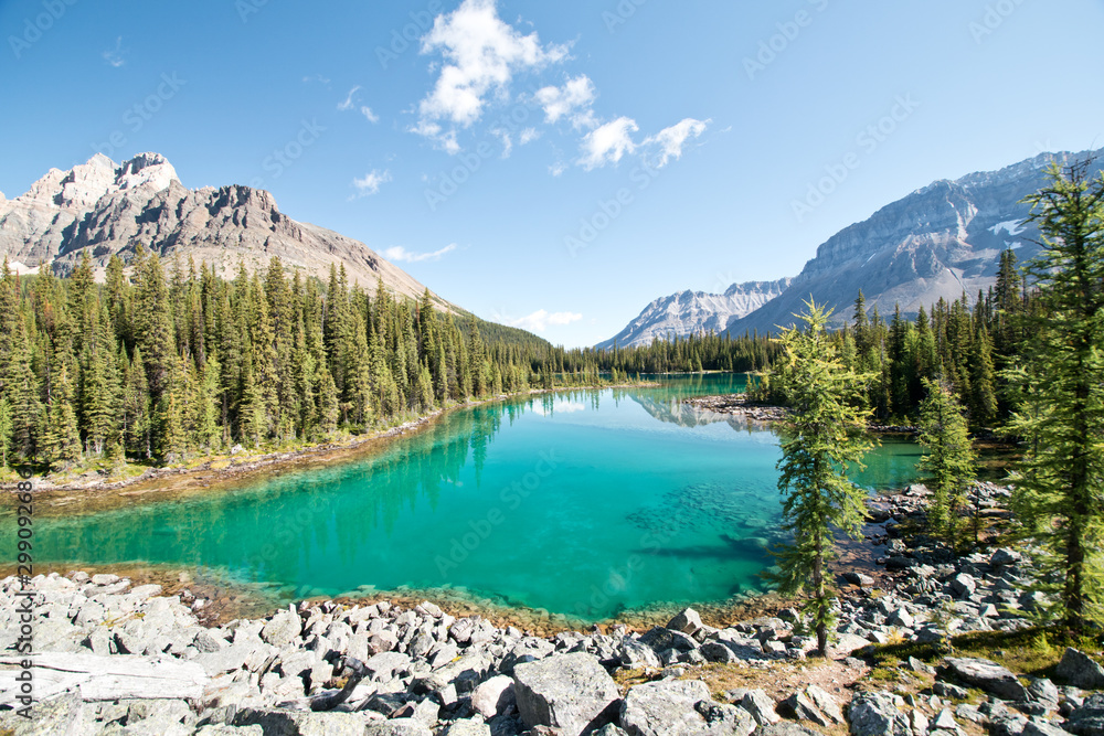 Fototapeta premium Linda lake in Yoho national park, BC, Canada