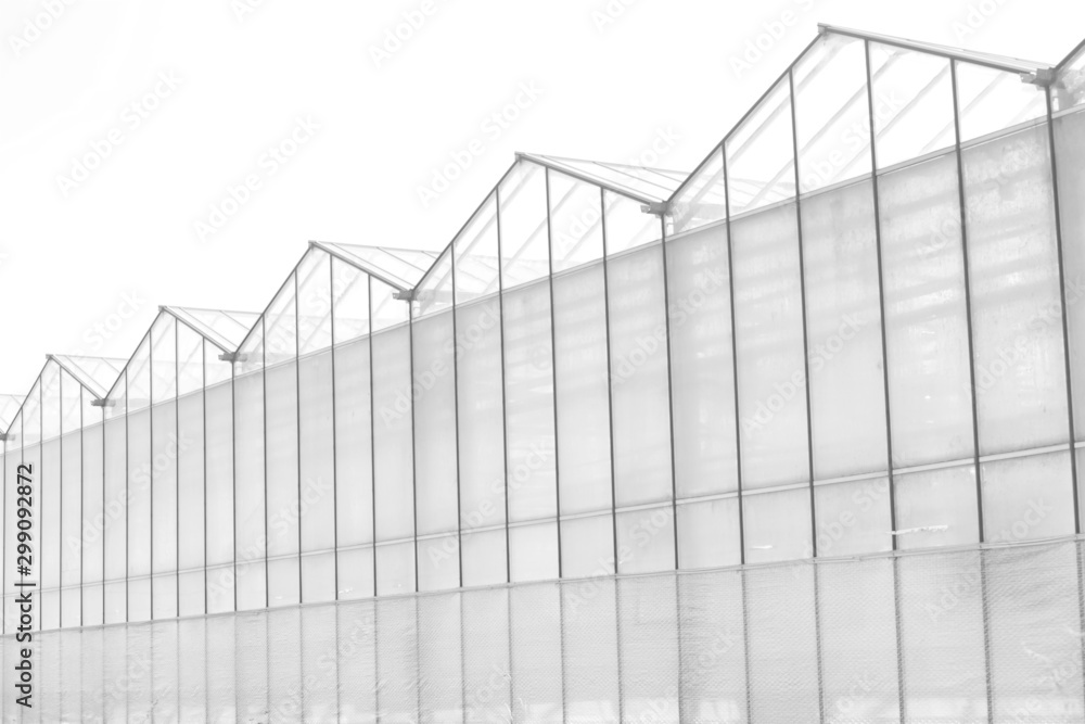 Greenhouse Greenhouse