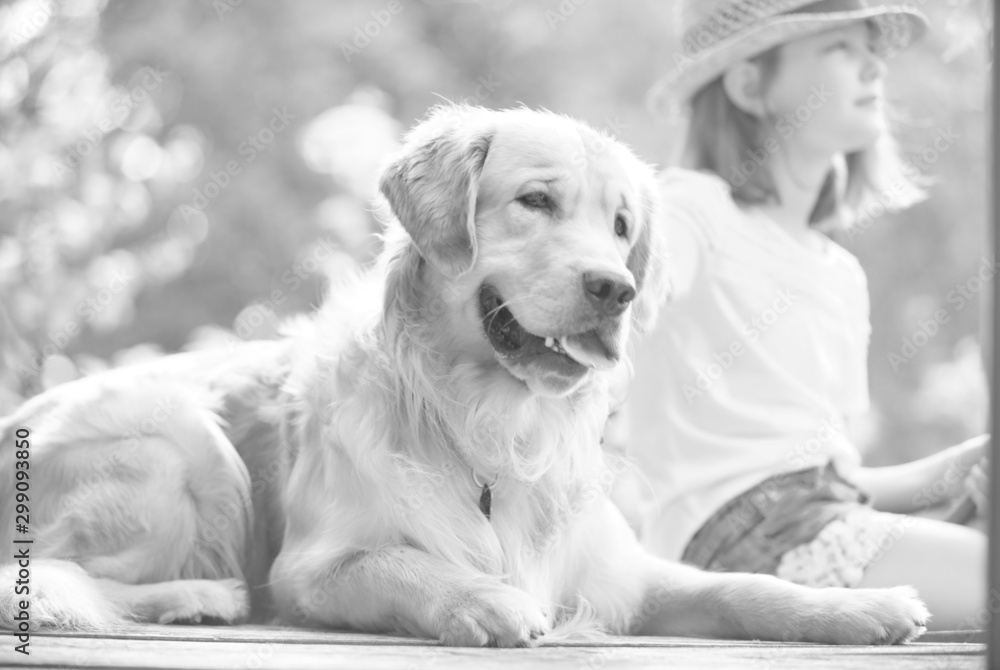 Black and white photo of Young girl fishing while sitting with dog on pier Black and white photo of Young girl fishing while sitting with dog on pier