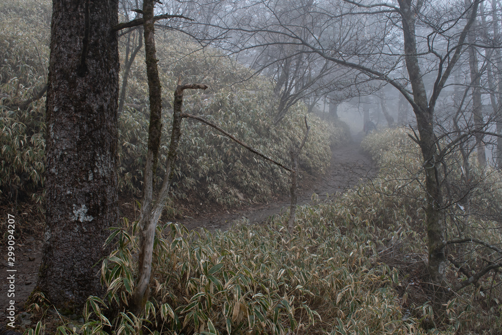 Naklejka premium 大菩薩嶺の登山道
