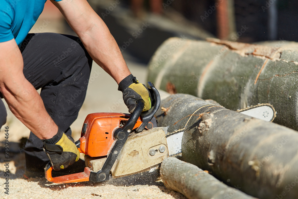 Anonymous man with chainsaw cutting logs Anonymous man with chainsaw cutting logs
