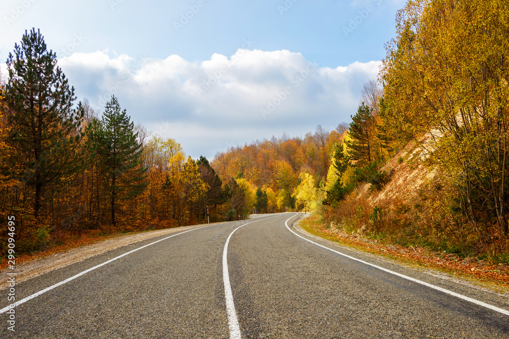 Autumn and road landscape