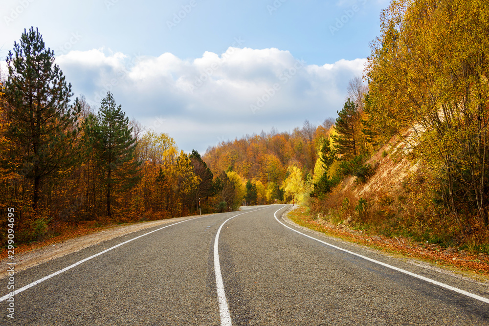 Autumn and road landscape Autumn and road landscape