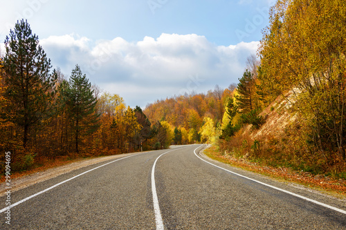 Autumn and road landscape