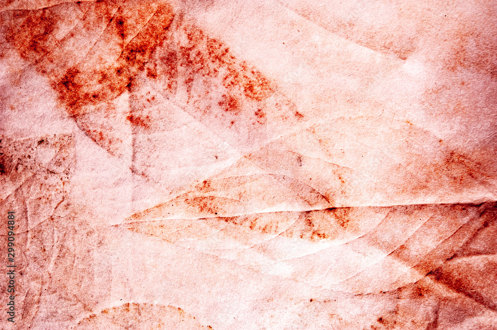 Real texture of the prints of plant leaves on crumpled paper. Not an art. Simple background. Real texture of the prints of plant leaves on crumpled paper. Not an art. Simple background.