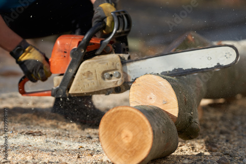 Anonymous man with chainsaw cutting logs