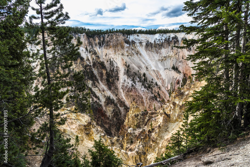 Yellowstone river and canyon landscape at Yellowstone National Park