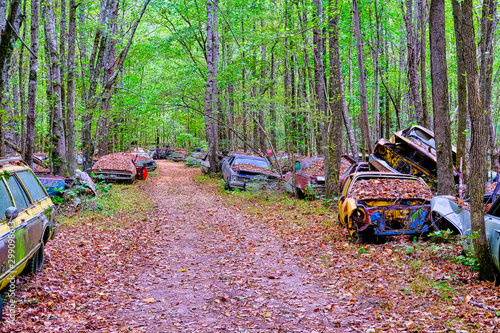 Old Cars Alongside Road Through Woodland Junkyard