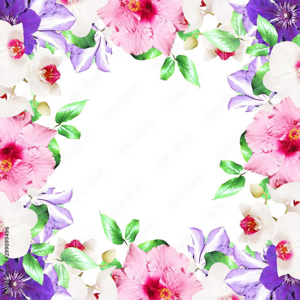 Beautiful floral background of clematis, hibiscus and orchids. Isolated