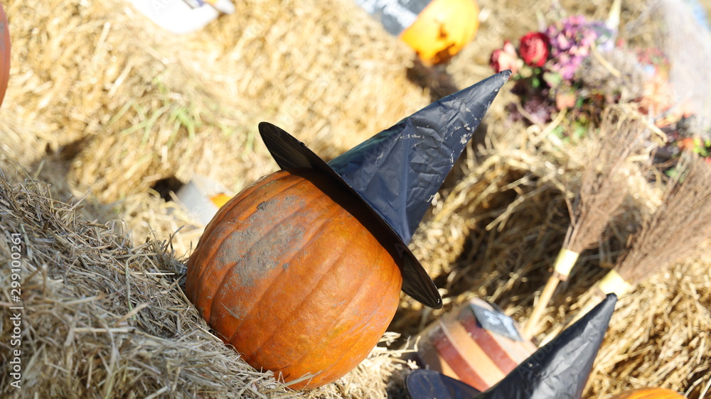 Outdoor Farm Witch Pumpkin in a Halloween Hat Outdoor Farm Witch Pumpkin in a Halloween Hat