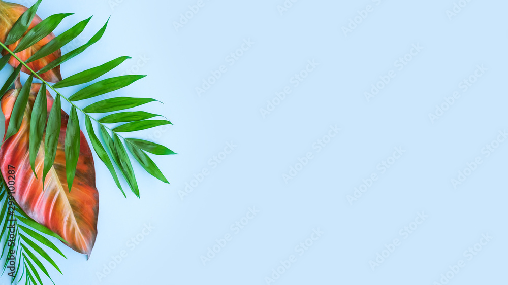 Background of tropical flowers, strelitzia and palm leaves, bouquet of exotic plants. Place for text. Flat lay. Summer concept.