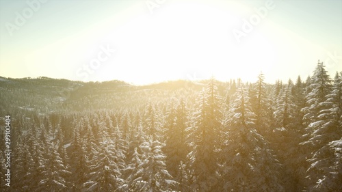 8K Fantastic Evening Winter Landscape