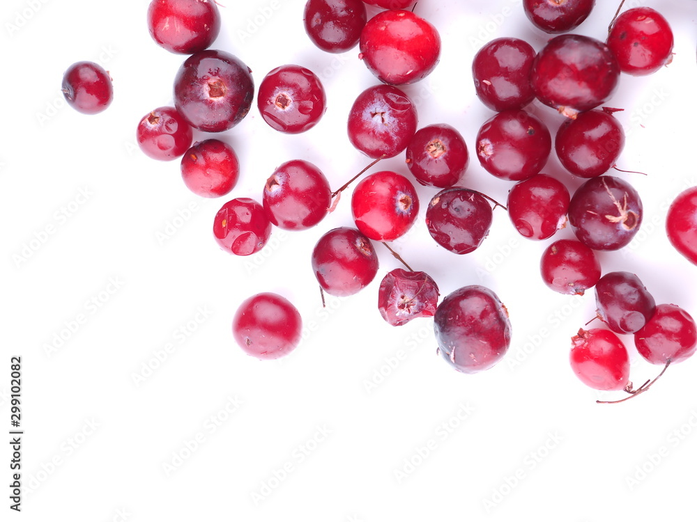 cranberries on a white background cranberries on a white background