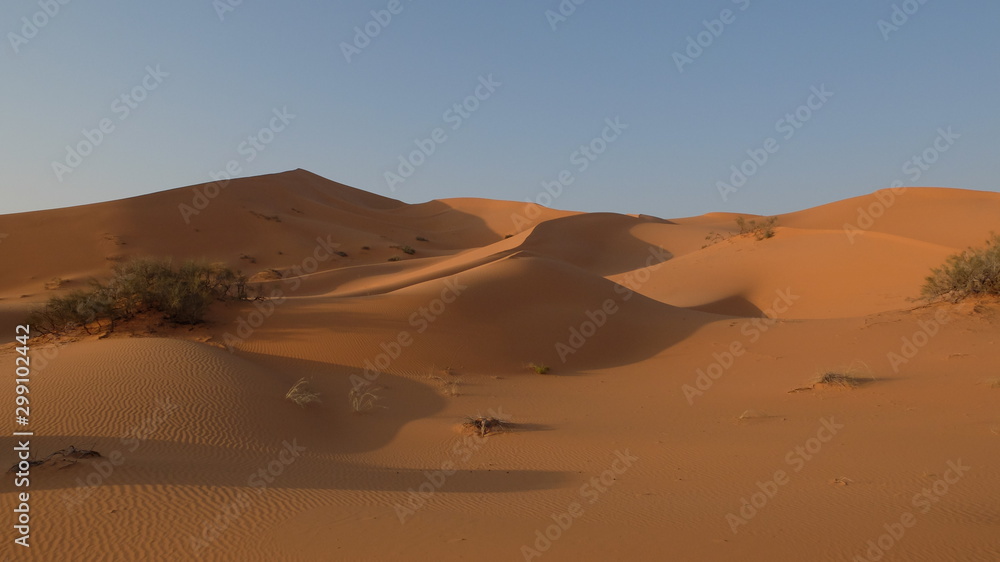 Star Dunes in the Nafud Desert close to Ha'il in Northern Saudi Arabia