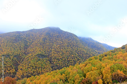 mountain natural scenery