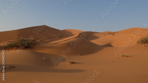 Star Dunes in the Nafud Desert close to Ha'il in Northern Saudi Arabia