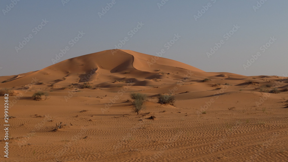 Star Dune in the Nafud Desert in Saudi Arabia close to Hail